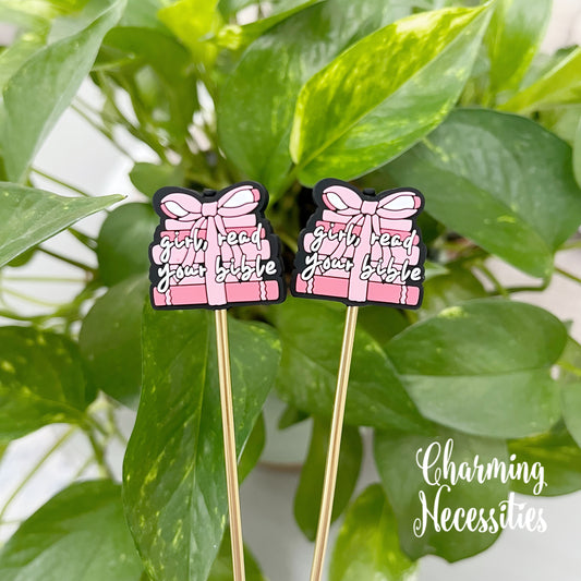 Stitch Stoppers, Girl Read Your Bible, Set of 2, Knitting Accessories, Stitch Holders, Gifts for Knitters